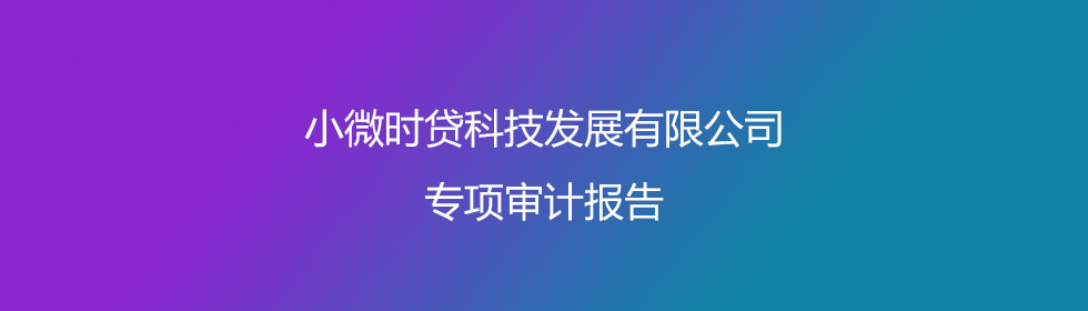 专项审计报告