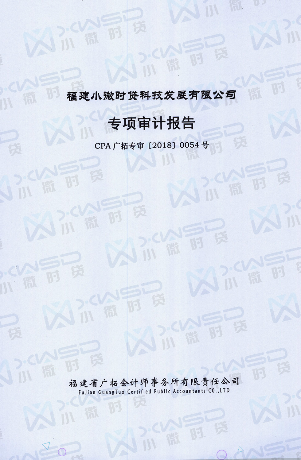 专项审计报告