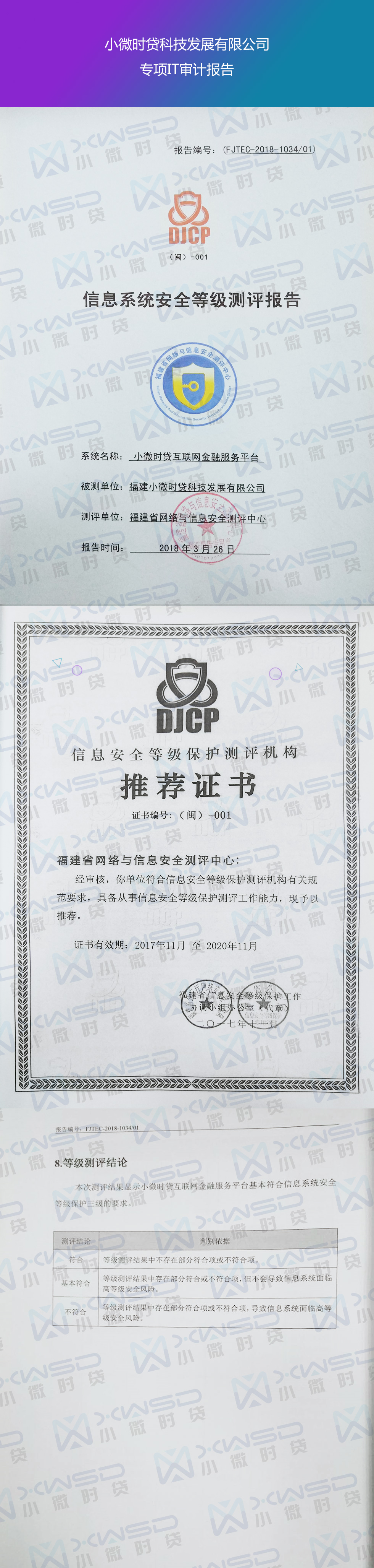 专项IT审计报告