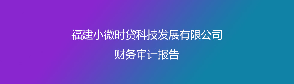 财务审计报告
