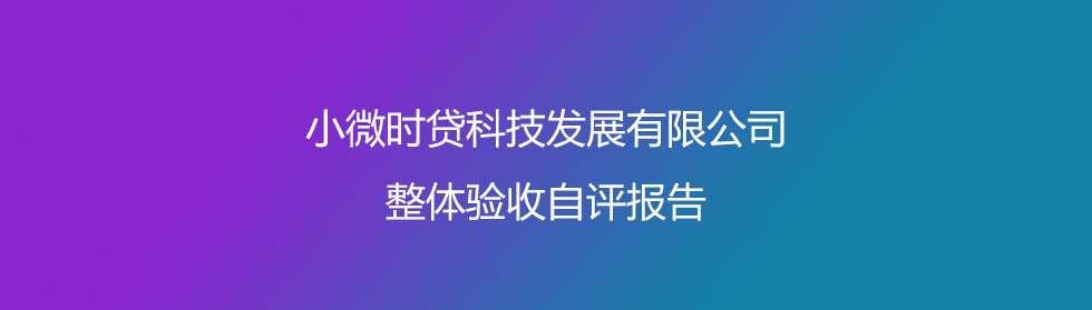 整体验收自评报告