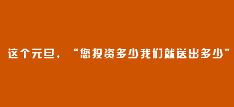 这个元旦，“您投资多少我们就送出多少”